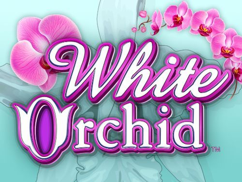 Jugar al tragamonedas White Orchid