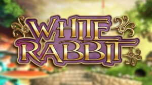 ¿Cómo jugar y ganar en la slot White Rabbit?